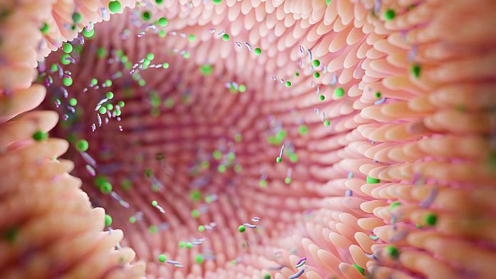 I batteri intestinali potrebbero essere la chiave per prevenire il morbo di Parkinson, affermano gli scienziati finlandesi