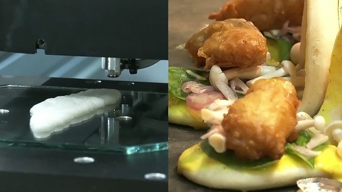 I nostri oceani potrebbero essere vuoti entro il 2048. Questa start-up sta stampando pesce in 3D per soddisfare la crescente domanda di prodotti ittici