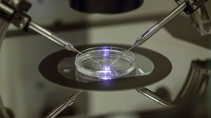 I "robot per l'iniezione di sperma" si sono dimostrati efficaci come alternativa a basso costo alla fecondazione in vitro tradizionale