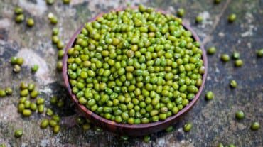 ricetta dello squillo