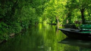 'France's Green Venice': perché Marais Poitevin è il segreto di viaggio lento meglio custodito del paese