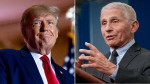 I deepfake di intelligenza artificiale vengono utilizzati come armi nella corsa alla presidenza degli Stati Uniti e Trump è l'ultimo obiettivo