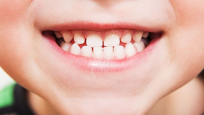 Un farmaco che fa ricrescere i denti: gli scienziati si avvicinano agli studi clinici