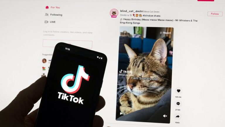 Legge sui servizi digitali dell'UE: 5 cose che cambieranno quando accedi ai tuoi account sui social media