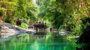 Cavalcate sugli elefanti e spettacoli circensi: la nuova legge britannica pone un freno al turismo animale “crudele” all’estero