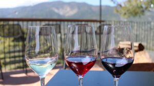 Cipro potrebbe essere la destinazione balneare per eccellenza, ma anche le sue cantine meritano attenzione.  Ecco perché