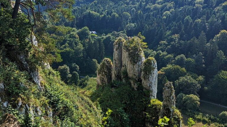 Gite di un giorno a Cracovia: esplora le grotte neolitiche e i castelli medievali in questo splendido parco nazionale