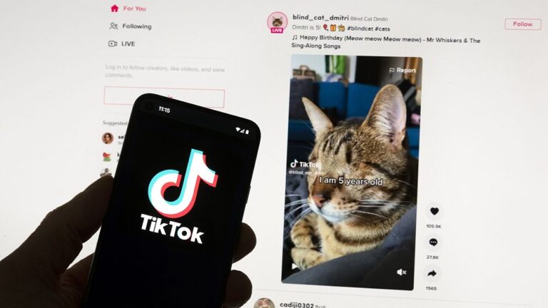 TikTok apre un data center irlandese come parte della sua offensiva di fascino "Project Clover".