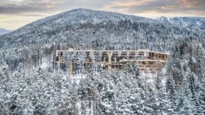 "Ero Riccioli d'oro scatenati nella casa dei suoi sogni": all'interno del resort benessere italiano sulle cime degli alberi