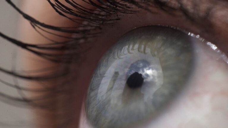 Gli scienziati sviluppano impianti oculari utilizzando cellule produttrici di insulina che potrebbero curare il diabete