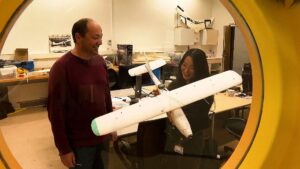 Il modo in cui gli uccelli si librano in volo sta ispirando la prossima generazione di droni a risparmio energetico