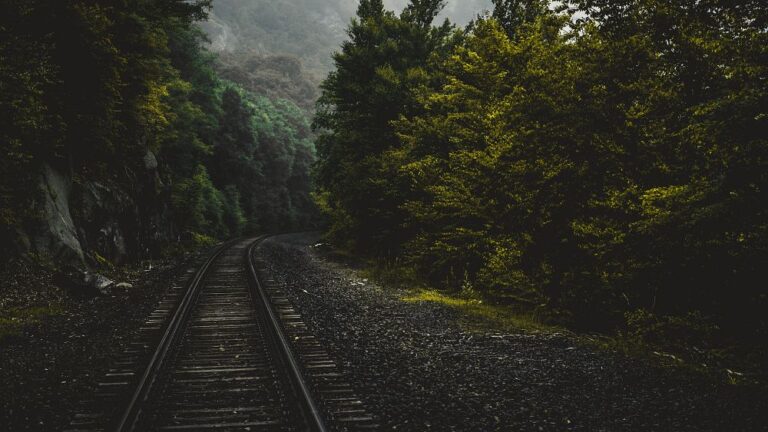 Omicidi, spettri e contrabbandieri: ecco 5 spaventosi viaggi in treno in Europa