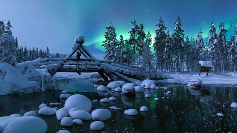 Ciaspolate e safari con gli husky: 4 alternative sostenibili alla vacanza invernale sulla neve