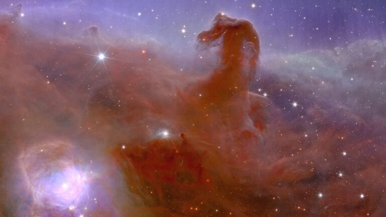 L'ESA rivela le prime straordinarie immagini del telescopio Euclid che mostrano l'universo come non l'avete mai visto