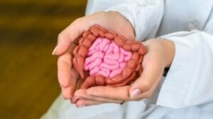 Alimenti per una buona salute dell'intestino