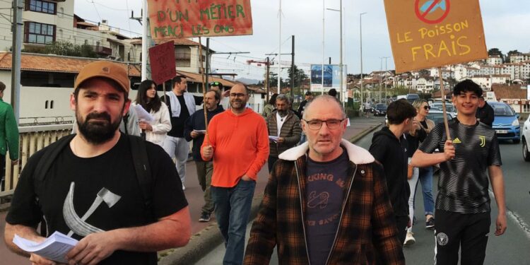 "Dobbiamo trovare una soluzione": la reazione francese al divieto di pesca nel Golfo di Biscaglia 35 French fishermen are protesting against European regulations to impose within six months the closure of certain fishing areas of the Atlantic in order to preserve the dolphins
