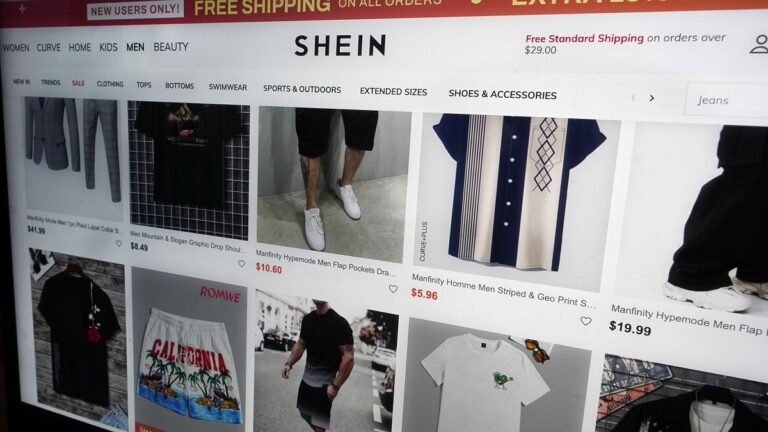 Fast-fashion website Shein, which has its global headquarters in Singapore, will have to comply with the rules within four months.