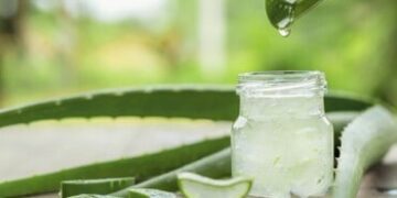 Hai l'acne sulle gambe? Vale la pena provare questi 6 rimedi casalinghi! 22 Gel di aloe vera per la forfora