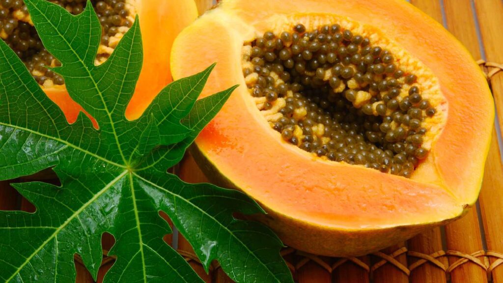 papaia per la digestione