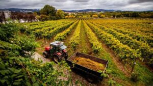 Portugal Wants Tourists to Explore Beyond Lisbon and Porto