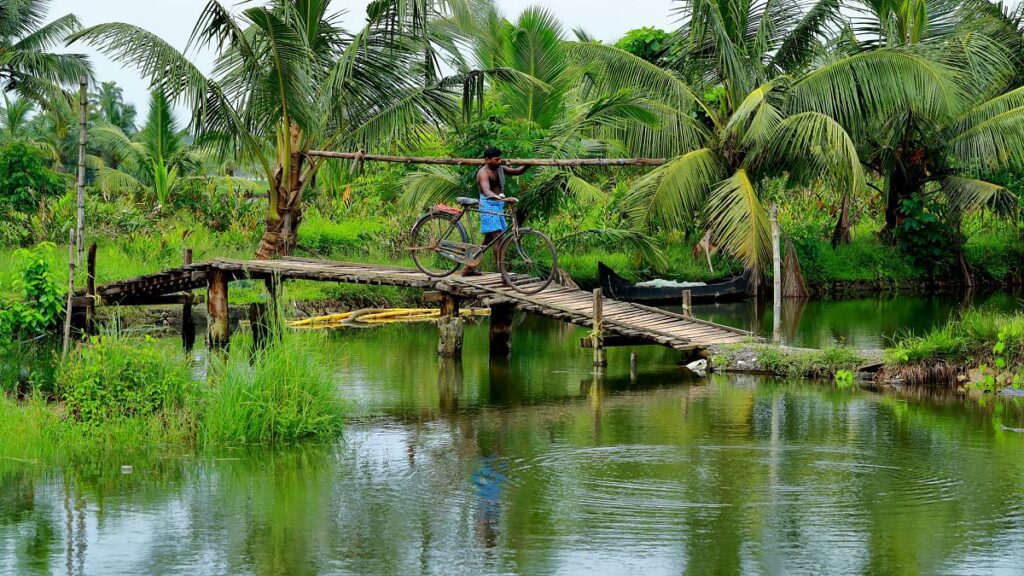The nature haven of Kerala