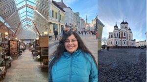 Balti Jaam market (left), Indra on Old Town Street (middle) and Alexander Nevsky Cathedral (right).