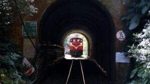 Ho guidato attraverso le foreste di cedro di Taiwan su questa panoramica ferrovia di montagna di 113 anni