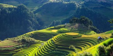 Meno voli, più immersione: cosa è "tripla" e potrebbe aiutarti a viaggiare in modo più sostenibile? 8 Meno voli, più immersione: cosa è "tripla" e potrebbe aiutarti a viaggiare in modo più sostenibile?