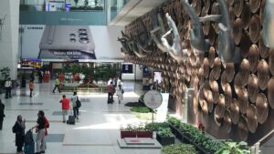 I viaggiatori diretti in India ora devono compilare questo modulo online 72 ore prima del loro arrivo