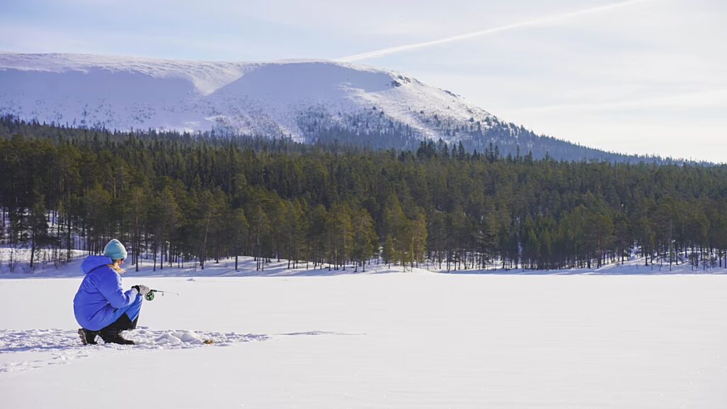Noia e silenzio in Svezia: il viaggio che riscopre se stessi