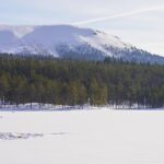 Noia e silenzio in Svezia: il viaggio che riscopre se stessi