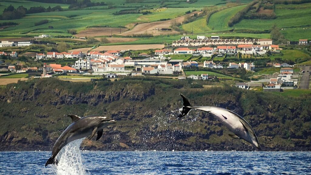 Ryanair e le Azzorre: cosa cambia per i voli dal 2026