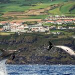 Ryanair e le Azzorre: cosa cambia per i voli dal 2026