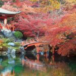 Voli Nazionali Gratuiti in Giappone: Offerta per Viaggiatori Europei