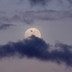 NASA Artemis II: la missione che riporta l’uomo sulla Luna