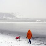 Tempesta Goretti: caos nei viaggi tra treni, aeroporti e traghetti