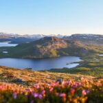 Finlandia Estate: Alla Scoperta del Sole di Mezzanotte Verde