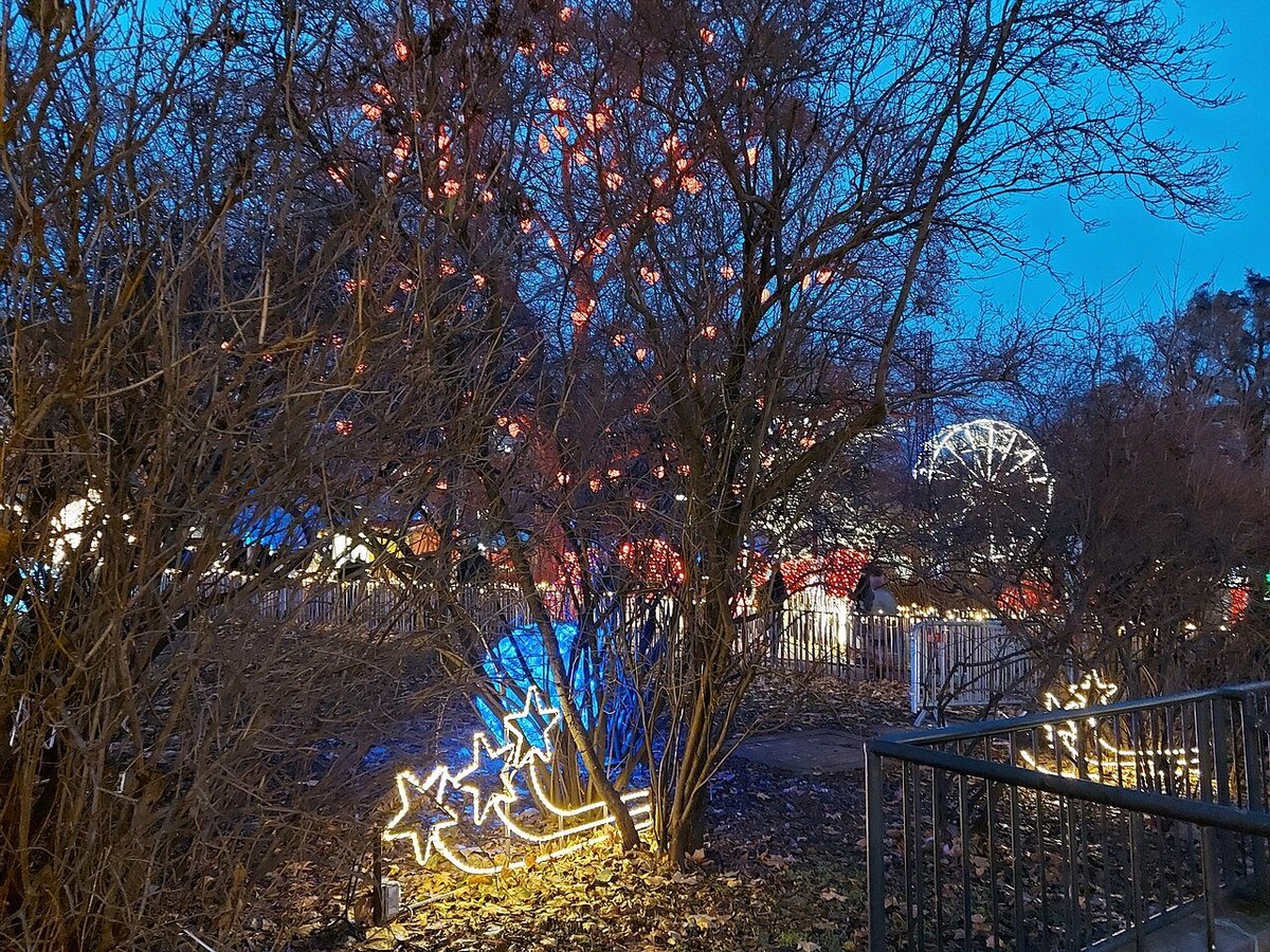 Alberi illuminati e decorazioni luminose nel parco del Rathaus durante il Christkindlmarkt di Vienna